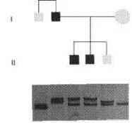 DIAGNOSTICA MOLECOLARE TOPI TRANSGENICI