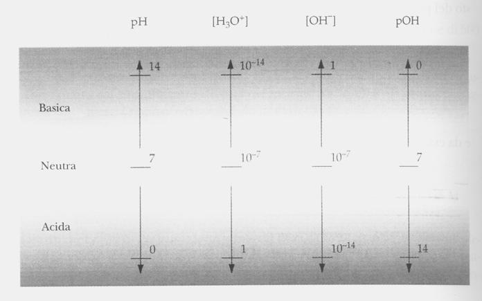 Esercizio Tenendo conto che la concentrazione dello ione idrogeno presente in una sostanza si misura in moli per litro, determinare il ph delle seguenti sostanze: pomodori (con [H + ] = 6,3 10 5