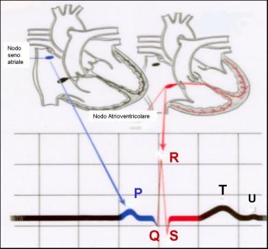 E per Analisi automatica