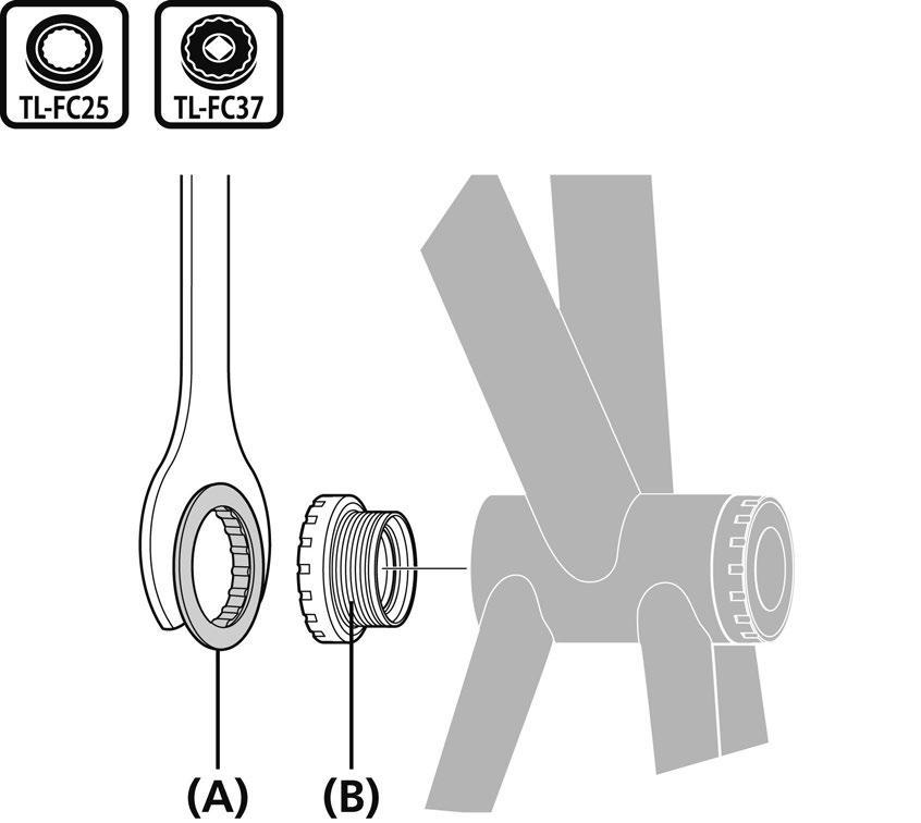 e stringere 2-3 giri a mano. Utilizzare TL-FC25 o TL-FC37 per stringere l'adattatore di destra.