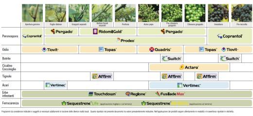 Qualità Sostenibile Syngenta (QSS) Obiettivo Fornire protocolli di