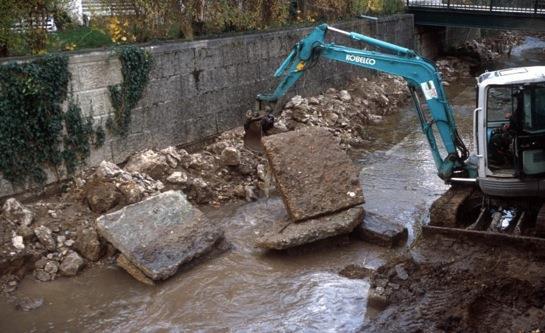 Eisentorbrücke FUNZIONI SVOLTE Intervento di rinaturalizzazone in ambito urbano.