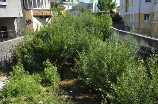 acqua (rimozione dell alveo in cks), qualità del paesaggio. A sn il rio Mödling prima dell intervento.