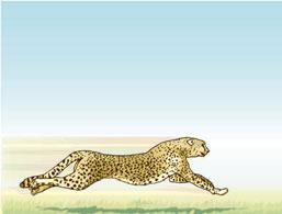 ESERCIZI 3 PROBLEMA SVOLTO Il ghepardo è l aniale più veloce che i conoca, e può raggiungere picchi di velocità pari a 3 k/h.