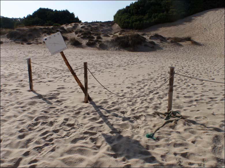 L uomo e la spiaggia l innalzamento del livello dei mari i fenomeni erosivi delle coste Il fenomeno è legato al cambiamento climatico causato dal effetto serra