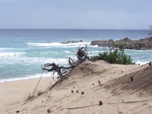 parte, a lungo termine, delle naturali dinamiche evolutive dei sistemi spiaggia-duna.