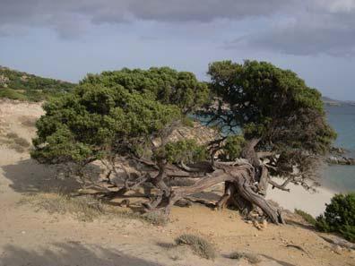 L uomo e la spiaggia La RETE NATURA 2000 La Rete "Natura 2000" è formata dai siti tutelati in virtù della Direttiva Habitat e della Direttiva Uccelli.