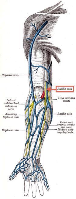 lesione Calibro