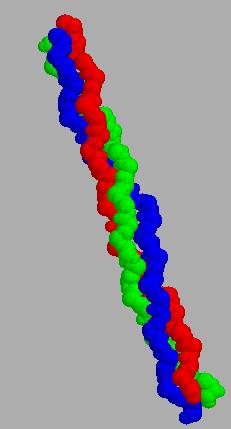 data dall unione di 2 o più catene polipeptidiche in