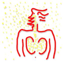 Perchè è pericoloso? I figli del radon continuano ad emettere radiazioni che, da questa posizione, colpiscono le cellule e sono in grado di danneggiarle irreversibilmente.