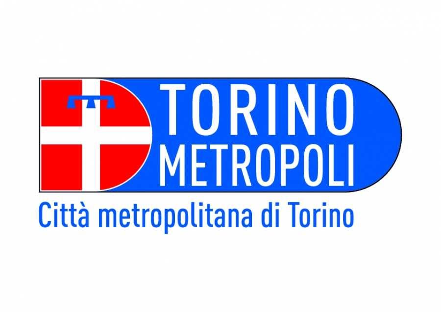 imprese e attività di lavoro autonomo neo costituite con sede operativa in uno dei seguenti Comuni dell area metropolitana di Torino: Beinasco, Borgaro Torinese, Collegno, Grugliasco, Moncalieri,