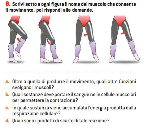 Esempio di verifica che richiede processo di accesso