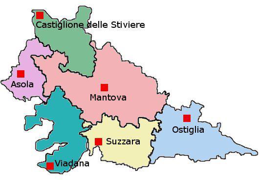 1.3 La popolazione di nazionalità cinese in provincia di Mantova per distretto socio sanitario 31 Figura 1-19 Territorio della provincia di Mantova suddiviso per distretti socio sanitari (Fonte: