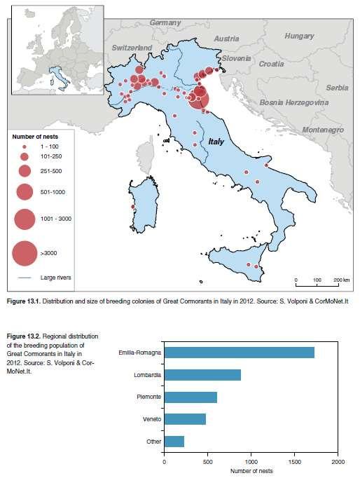 N. colonie CorMan in Italia: nidificanti 48 colonie distribuite in 11 regioni per un totale di circa 3.