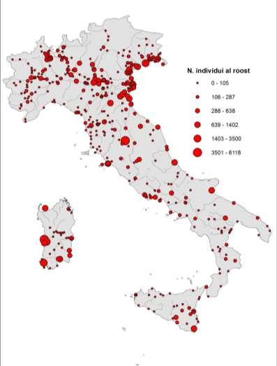 CorMan in Italia: svernanti 80,000 IWC Roost
