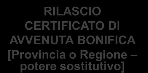 esecuzione, entità delle garanzie finanziarie) REALIZZAZIONE