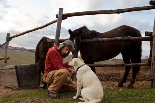 LA PET THERAPY E ANCHE QUI!