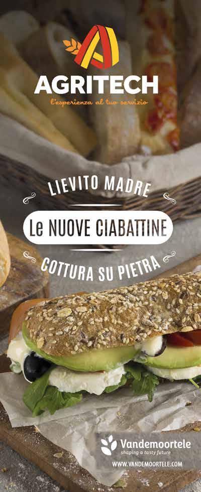 ciabatta con farina tipo 0 ed olio di oliva.