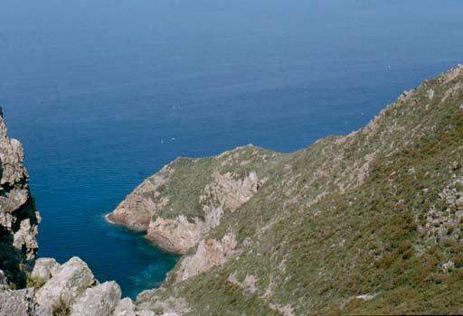 ATLANTE DEGLI ANFIBI E DEI RETTILI DELLA TOsCANA marina compresa fra Punta Escampobariu (Francia sud-orientale), la Sardegna settentrionale, la Corsica e la totalità delle coste liguri e toscane.