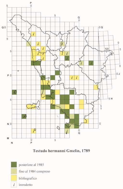 ATLANTE DEGLI ANFIBI E