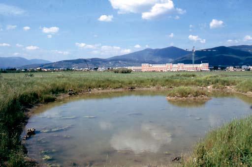 Fig. 28. Area Erpetologica Protetta Val di Rose nei pressi del Nuovo Polo Scientifico Universitario di Sesto Fiorentino (Firenze, 1996).
