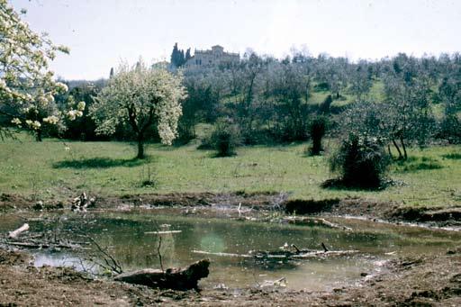 ATLANTE DEGLI ANFIBI E DEI RETTILI DELLA TOsCANA del viadotto, cioè dello spazio libero sotto la struttura destinato al passaggio delle specie, è 1,6 m.