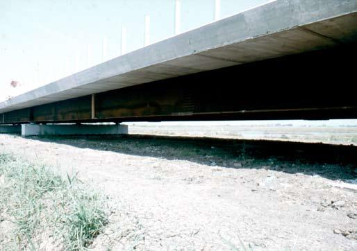 Fig. 32. Viadotto realizzato nel 2003 presso l Oasi W.W.F. Orti-Bottagone (Piombino, Livorno) per ristabilire la connessione ecologica fra due ambienti palustri precedentemente separati da una strada ad alta densità di traffico.