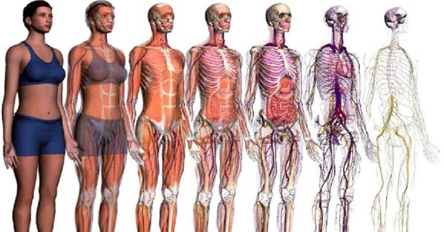 Formazione sugli aspetti di