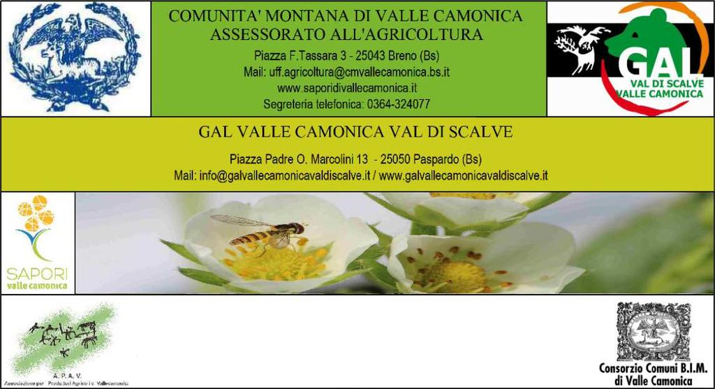 BOLLETTINO AGROMETEREOLOGICO N 2 del 13/01/2015 SEGRETERIA TELEFONICA 0364/324077: 1 MELO 2 VITE 4 PICCOLI FRUTTI www.saporidivallecamonica.it uff.agricoltura@cmvallecamonica.bs.it www.