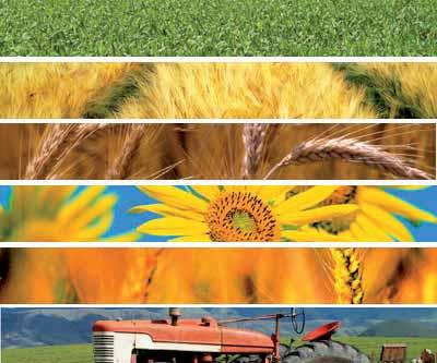 12.Sicurezza Agroalimentare Introduzione Il settore agroalimentare è secondo in Italia per dimensione, dopo il metalmeccanico e primo a livello europeo, seguito dal metalmeccanico; è inoltre il terzo