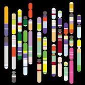 sperimentali utilizzate per lo studio dei genomi