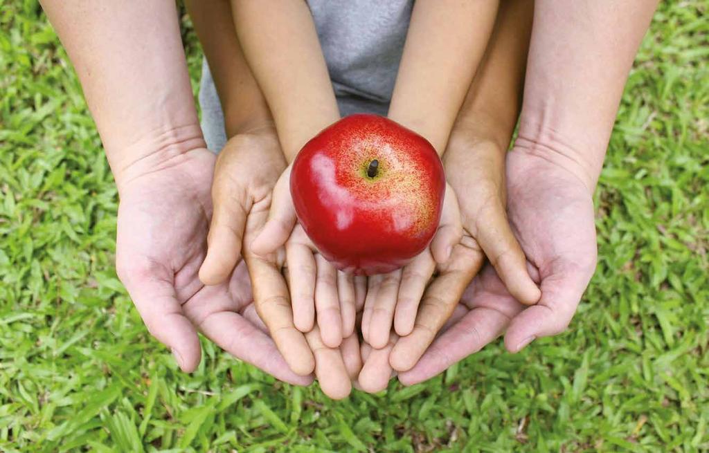 CORSO DI LAUREA MAGISTRALE (LM-70) SCIENZE E TECNOLOGIE ALIMENTARI Curriculum