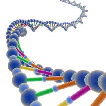 Overview sulla genetica La scoperta del DNA è una delle grandi