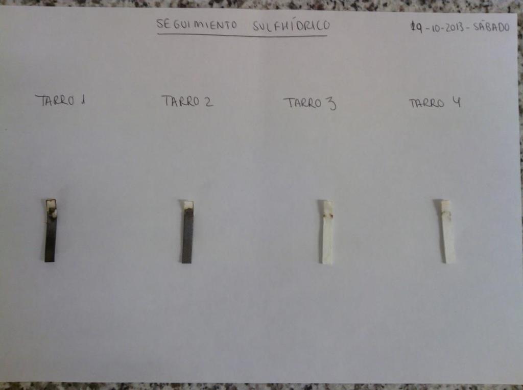 GLU+FRU (g/l). Fermentation Rates.