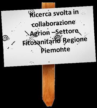 CONFRONTO TRA SOSTANZE ATTIVE AD AZIONE SPOLLONANTE RISULTATI DI RILIEVO Tesi A B C H Principi attivi in miscela Dose L/Kg/hl L/Kg/Ha* Carfentrazone-etile 0,4 1,2