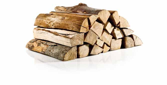 IL COMBUSTIBI- 11 LE DEL FUTURO Riscaldare con la legna non è solo economico, è anche particolarmente ecologico, infatti il legno brucia senza incidere sulle emissioni di CO 2, preservando quindi il
