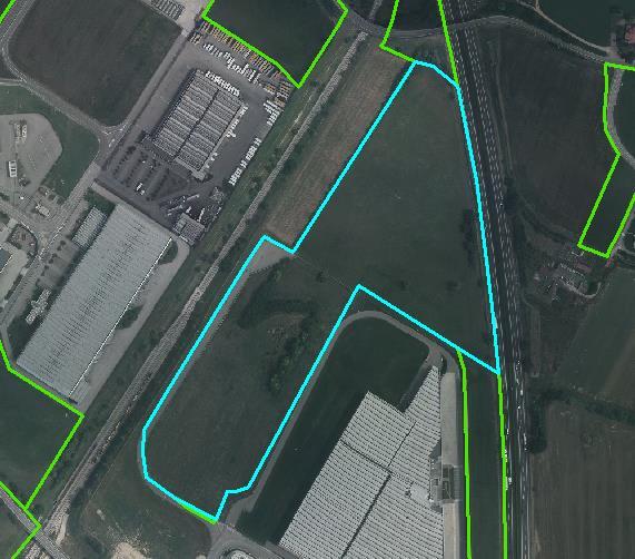 classificate come aree verdi incolte (A1) nel 215