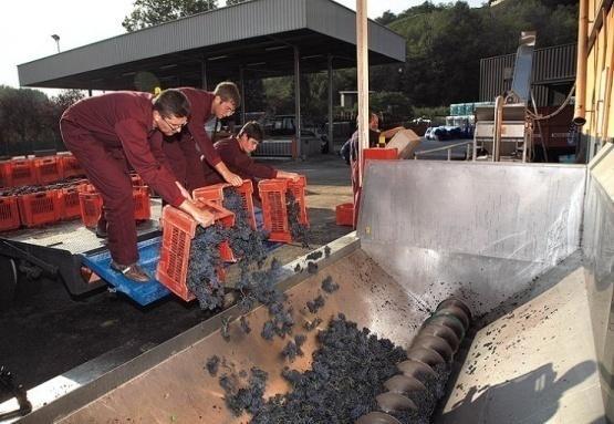 sistema produttivo, culturale e paesaggistico del Barbera d Asti DOCG e in particolare della sottozona Nizza, come ulteriore specifica di qualità e a