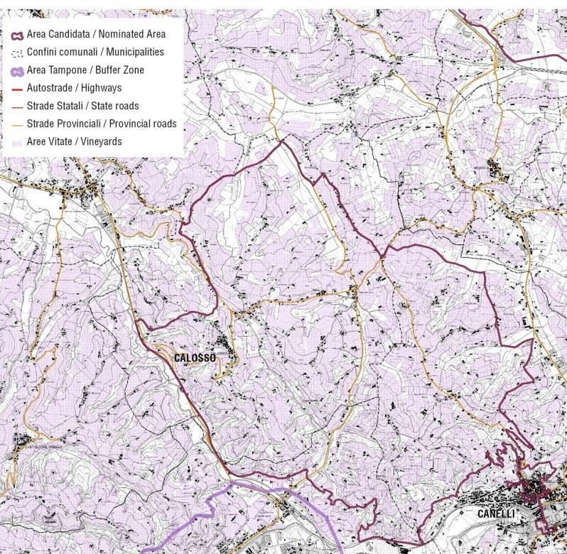 diffusione e hanno legato indissolubilmente la produzione delle sue uve aromatiche al territorio della componente.