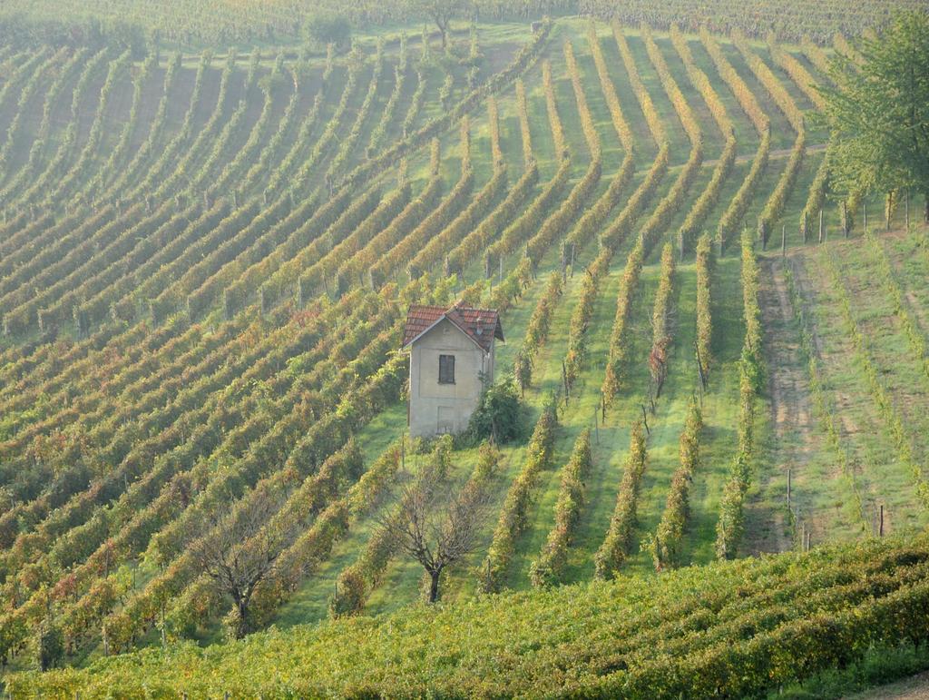 Il PROCESSO DI CANDIDATURA dei Paesaggi vitivinicoli del Piemonte: Langhe-Roero