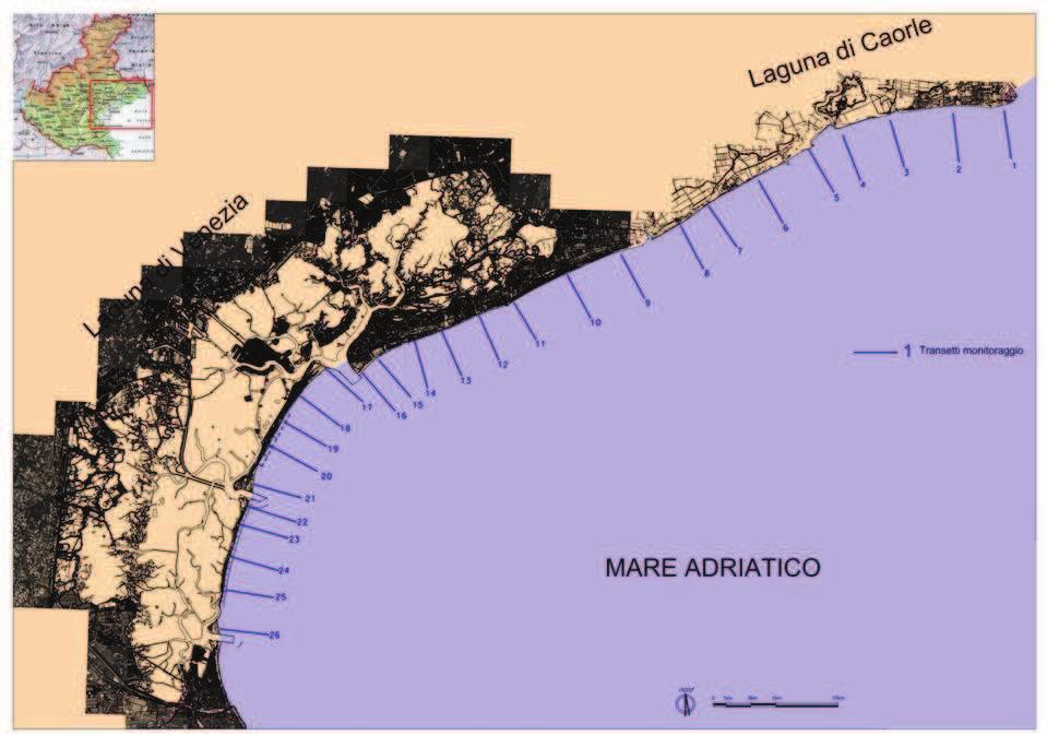 pag. 19 di 34 5.4. MONITORAGGIO DELLA RISORSA ENSIS MINOR E RIATTIVAZIONE SPERIMENTALE SU ALCUNE AREE A seguito degli eventi meteo avversi occorsi nel febbraio 2012 (Orel G., Zentilin A.