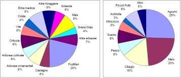 Figura 3 Percentuale di apicoltori che ricavano reddito dalle