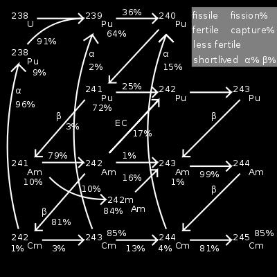 ciclo combustibile. Il 239 Pu è relativamente stabile, con una vita media di 24 mila anni.