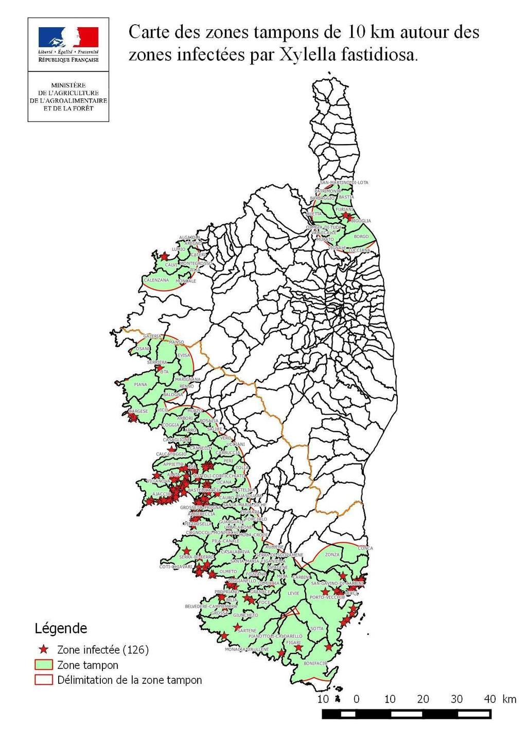 22 luglio 2015 Ritrovamento in Corsica di piante di Polygala infette da