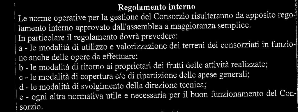 «qualcosa» che sia un po più di una