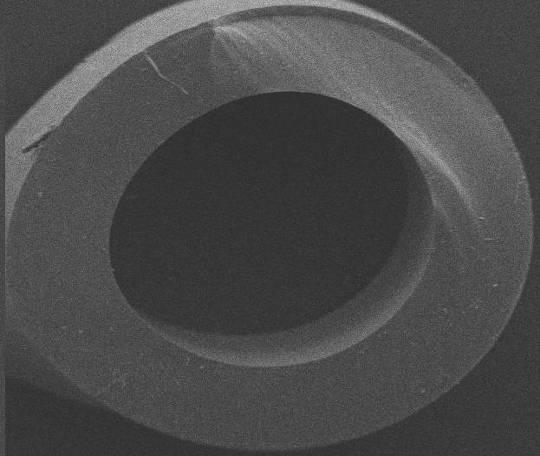 µm Altro catetere Spessore: 600 µm