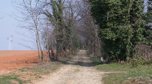 Paesaggio e ambiente Il Parco della Cavallera è situato nella porzione nord-est della provincia di Milano, nel contesto dell alta pianura asciutta, un ambito caratterizzato da significativi episodi