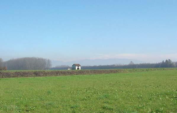 Il processo di sviluppo dell area, acceleratosi fortemente a partire dagli anni 60, è avvenuto sulla base di modalità insediative che non hanno compromesso in modo significativo il territorio