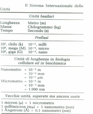 Dimensioni delle cellule unità di misura internazionali Dimensioni delle