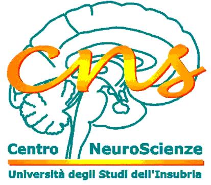 scuola internazionale di